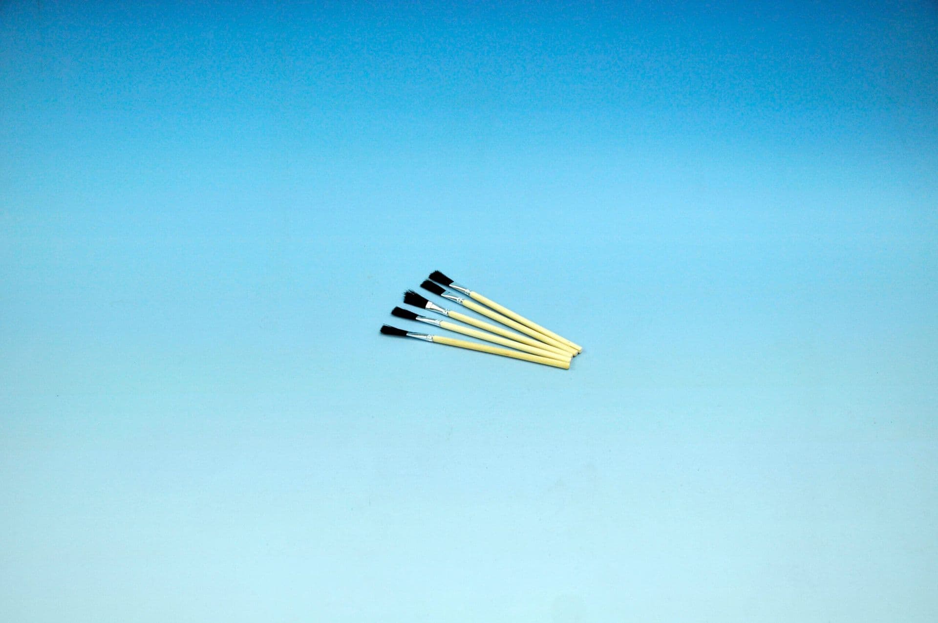 WEST SYSTEM 803 Glue Brushes